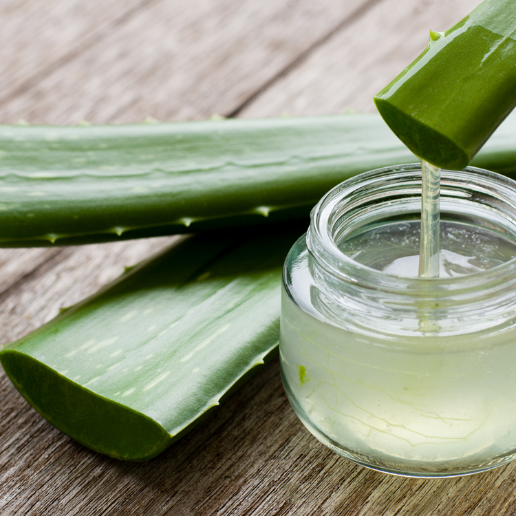 Soins à l'Aloe Vera