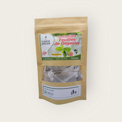 infusion de feuilles de goyavier, une boisson traditionnelle riche en antioxydants. Cultivées avec soin, ces feuilles offrent une saveur douce et légèrement astringente