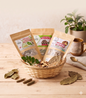 infusion de corossol infusion de djeka infusion de moringa